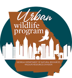 Urban Wildlife Program | Department Of Natural Resources Division